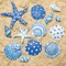 Scallop Shells for Crafts 16Pcs 3-3.5 Inch, White Sea Shells Bulk for Decorating Crafting Beach Home Decor DIY
